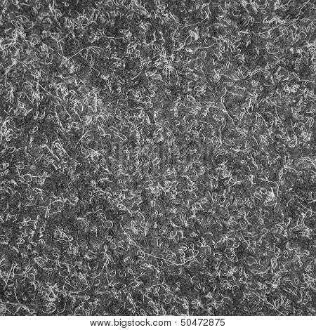 Grey Carpet