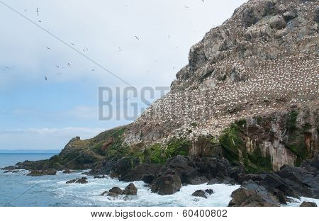 Part Of A Bird Sanctuary At Seven Islands
