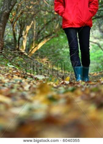 Autunno copia spazio