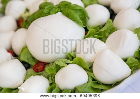 Mozzarella With Tomatos And Basil Leaves