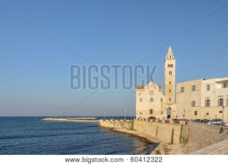 Cathedral Of Trani - Apulia (south Italy)