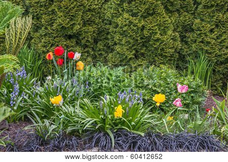 Spring Flower Garden