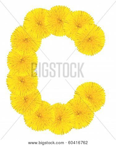 Letter C Made From Dandelions