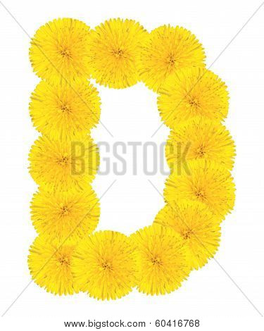 Letter D Made From Dandelions