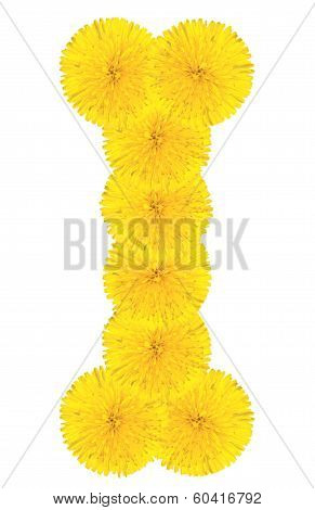 Letter I Made From Dandelions
