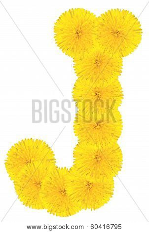 Letter J Made From Dandelions