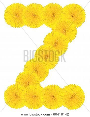 Letter Z Made From Dandelions