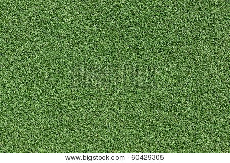 Green Grass texture