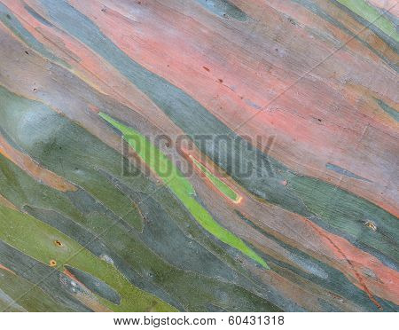 Colorful Abstract Pattern