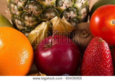 Special Froot Collection