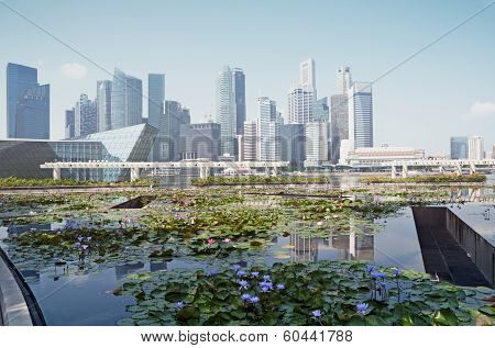 Singapore the 