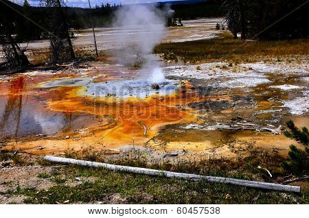 Minute Geyser