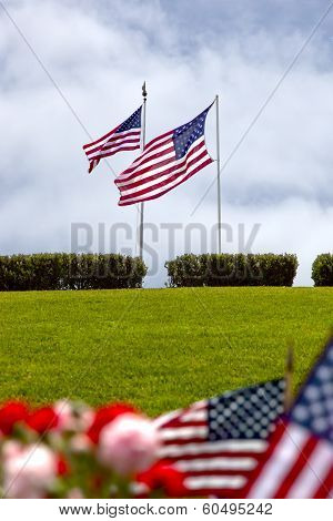 American Flags At United States National Cemetery