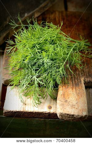 Bunch of fresh fennel on wooden board