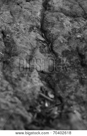 Background Pattern