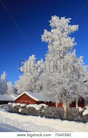 Winterscape