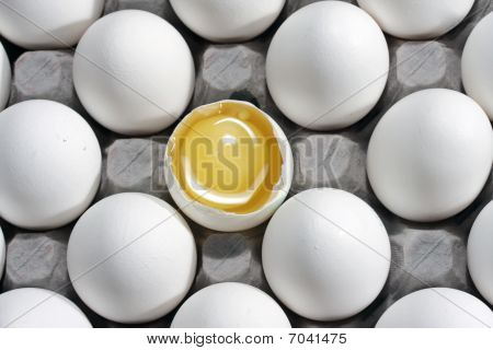 Eier