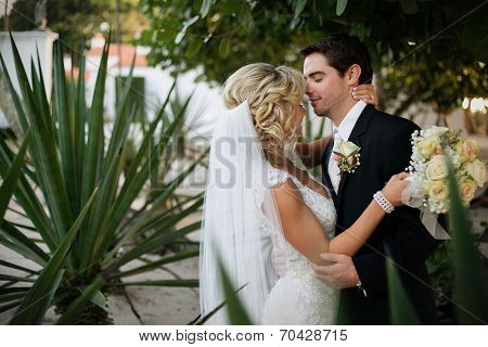 Newly Wedd
