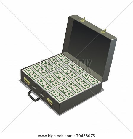 briefcase with money