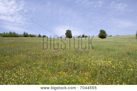 Paisagem