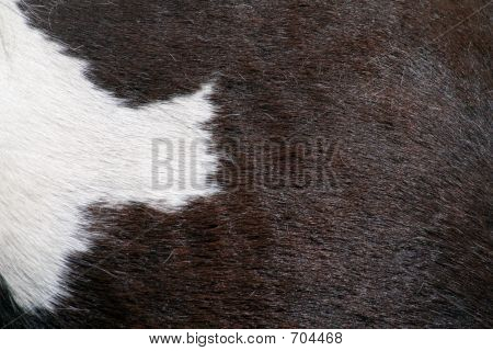 Cowskin