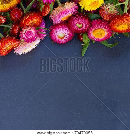 Bouquet of Everlasting flowers