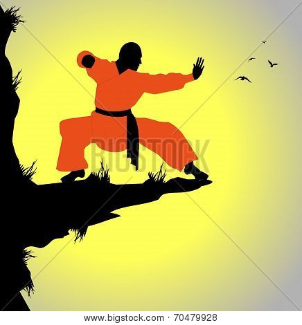 monaco shaolin