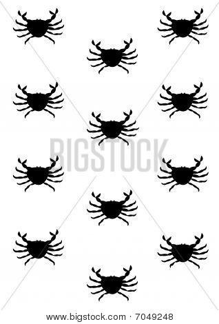 Crab background