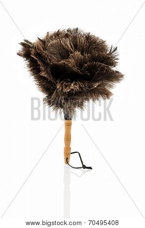 a feather duster against white background, symbol photo for cleanliness and care