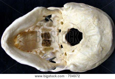 SKULLBASE