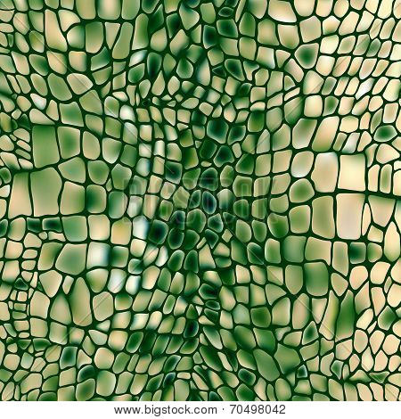 Leather animal snake textures reptile crocodile pattern background