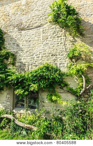 Old Stone House With Green Trees Ivy, England