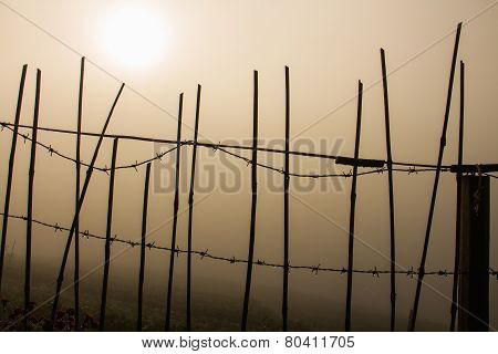 Fence