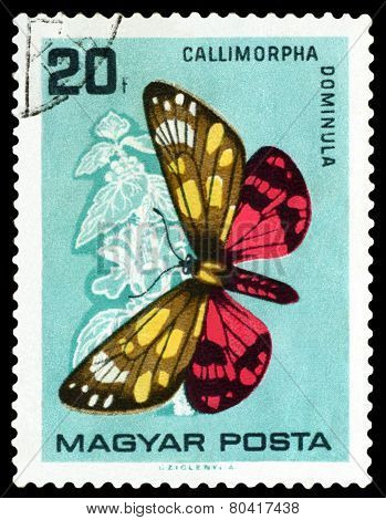 Vintage  Postage Stamp. Butterfly Callimorpha Domlnula.
