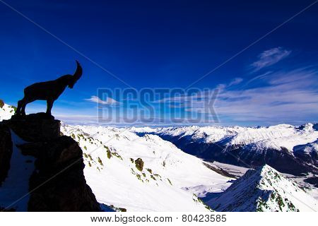 The beautiful landscape of the Alps