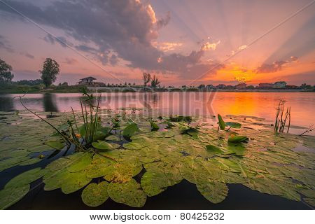 Amazingly Colorful Sunset