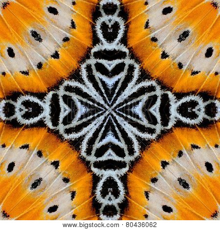 Close up of yellow and white background pattern made from leopard lacewing butterfly wings texture
