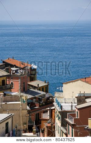 view of the Cinque Terre from Riomaggiore