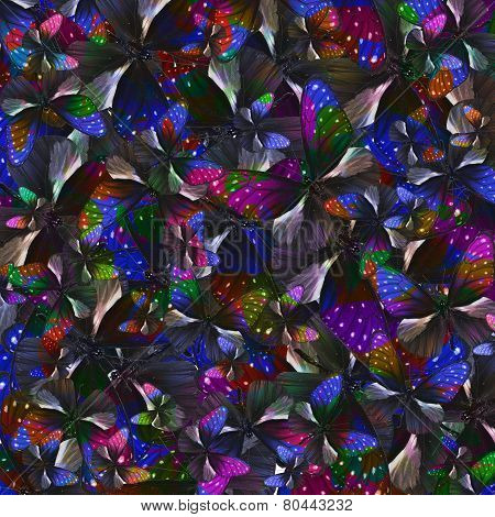 Exotic Background Texture Made From Beautiful Flying Stripe Blue Crow Butterflies