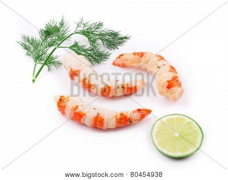 Boiled shrimps with dill on white.