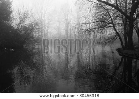 Winter scene