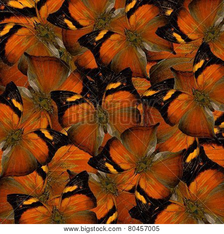 Exotic Orange Background Made Of Autumn Leaf Butterflies In A Great Compilation Texture