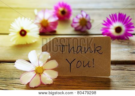 Sunny Label With Text Thank You With Cosmea Blossoms