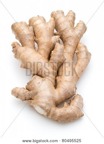 Fresh ginger root or rhizome isolated on white background cutout
