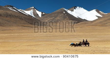 Typical Landscape In Rupshu Valley With Yaks Caravan