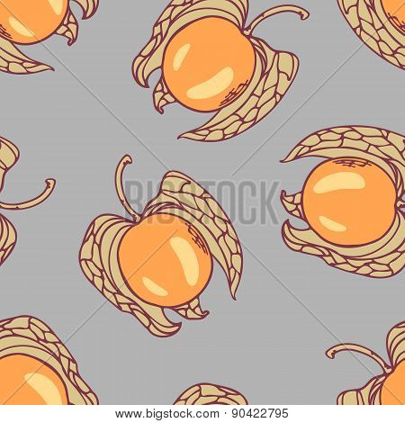 Stylized Seamless Pattern With Handdrawn Physalis
