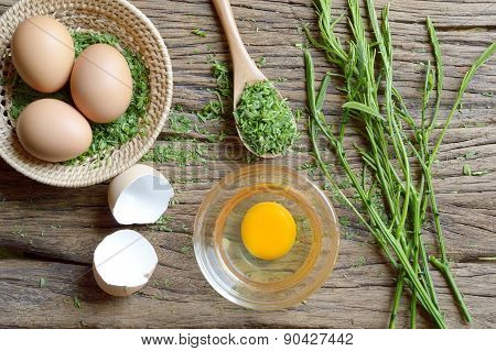 Omelet Cooking