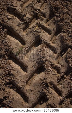 Tracks Of Tractor