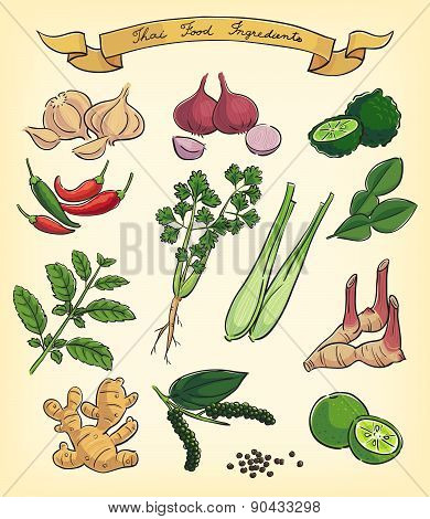 Hand Drawn Thai Food Ingredients