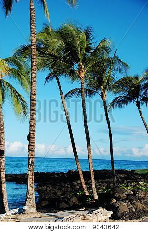 Hawaii tengerparton
